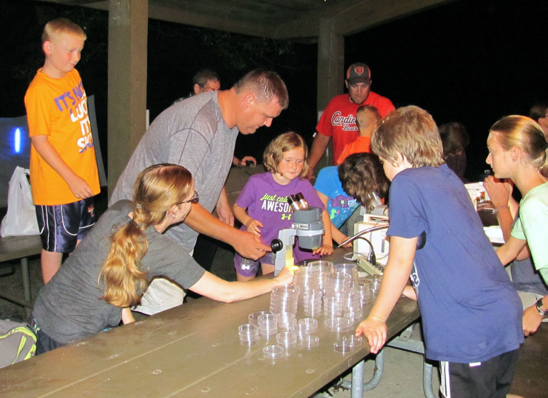 Participants search for 'Night Bugs' at Fox Ridge